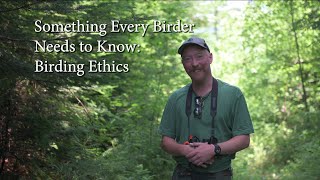 Something Every Birder Needs to Know: Birding Code of Ethics (Pishing, Play Back, and Movement)