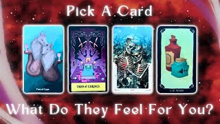 How They’re Currently Feeling About You👻🧡 Pick a Card Timeless In-Depth Love Tarot Reading