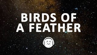 Billie Eilish - BIRDS OF A FEATHER (Lyrics)