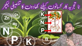 NPK fertilizer || what is NPK fertilizer || Arshad Ali