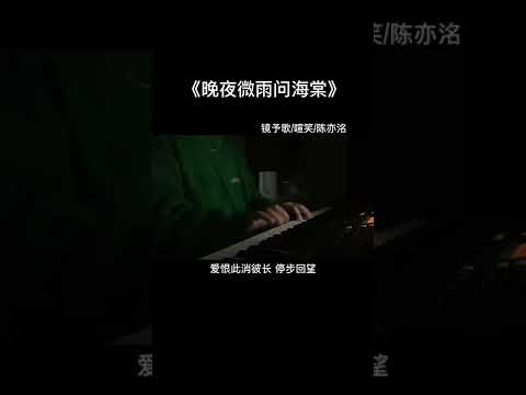 晚夜微雨问海棠 - 阿禹ayy