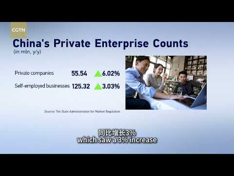 China's private sector from 5 to 9