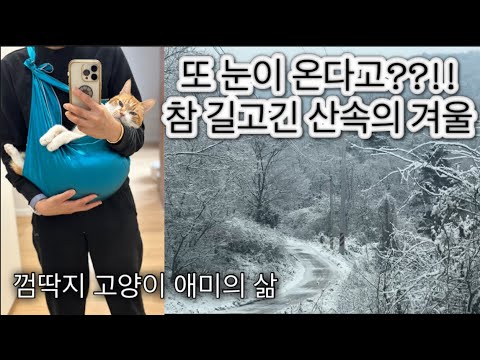 올겨울 눈이랑 절친 되는 중 /레트로 잔들 언박싱 / 길고 긴 산속의 겨울 귀촌살이