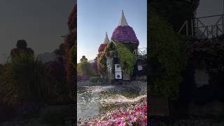 Dubai Miracle Garden | Largest Garden in the world #dubai #dubaimiraclegarden #placestovisitindubai