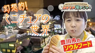 【幻想的！】ミニチュアの世界＆豊川市で大人気のソウルフード⁉