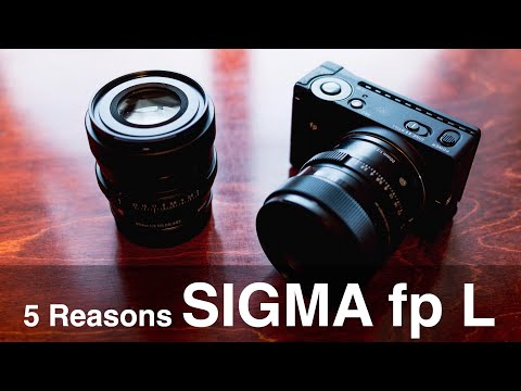 5 Reasons I like the Sigma fp L (and lenses)