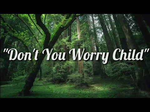 Alex Parker - Don't You Worry Child (Lyrics)