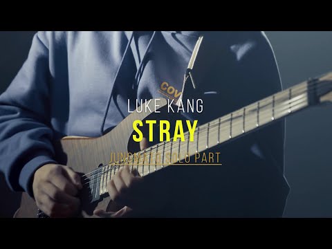 My guest solo on 'Stray' by Luke Kang