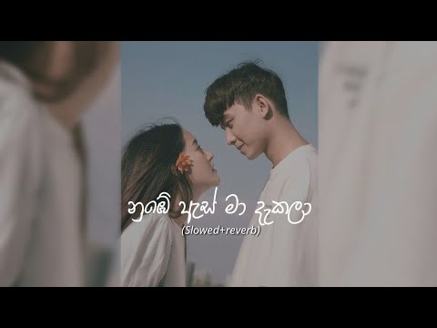 නුඹේ ඇස් මා දැකලා | Nube as ma dakala (Slowed+reverb)