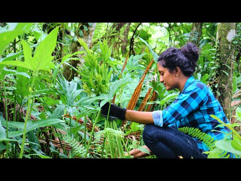 Gifts of nature for being beautiful & healthy |part 1| poorna - The nature girl |