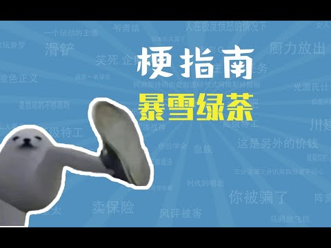 暴雪绿茶是什么意思【梗指南】