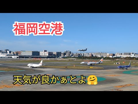 【福岡空港 】天気が良かぁとよ😍23−11