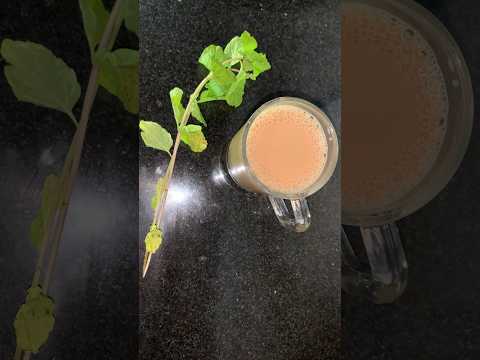 Mint tea | புதினா டீ #shorts #shortsfeed #trending #youtubeshorts #tea #food