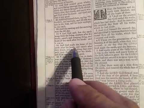 Biblical history, In the beginning  Pt. 2 / Hidden in plain sight