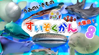 水族館へ行こう！8【子供向け 海の生き物アニメ】海のいきもの お魚さんたちが大集合！マンタ シロイルカ ジンベエザメなど人気の生き物たちが大集合◎15種類の名前を覚えよう【知育動画】