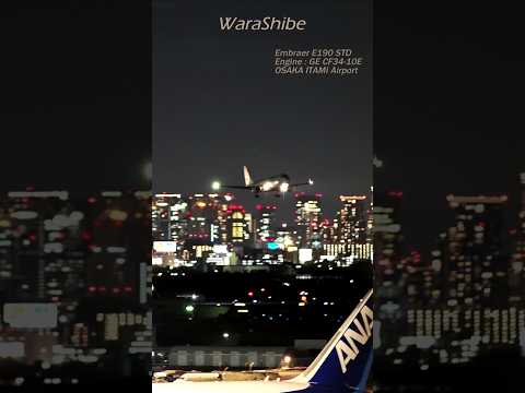 JAL EMBRAER E190 | Beautiful night landing at Osaka ITAMI Airport | ITM/RJOO