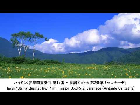 朝、目覚めに心地よい～活力が出るクラシック名曲集・Morning Classical Music Collection（長時間作業用BGM)