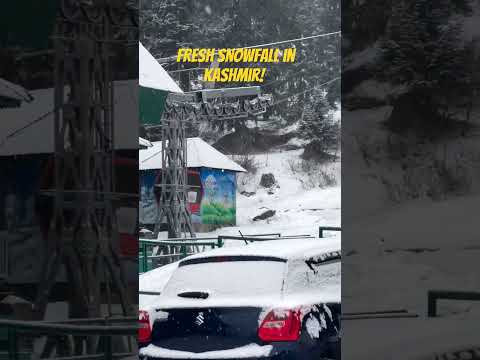 Fresh Snowfall in Kashmir| Snowfall in Gulmarg l  Snowfall in Sonamarg | Snowfall in Pahalgam