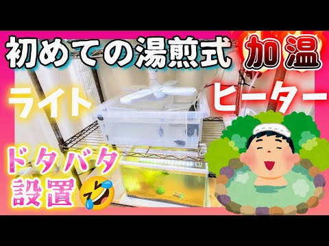 【室内メダカ加温飼育】初めての湯煎式ヒーターとガーデンライトで室内めだかスタート‼️寒い日の前にドタバタ設置🤣#屋内飼育 #NVボックス13#メタルラック#アクアリウム#越冬#だるま#テトラ