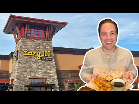 NEW Lazy Dog Restaurant Right Outside Disney World | Dog Friendly Dining on HWY 192 | Full Review