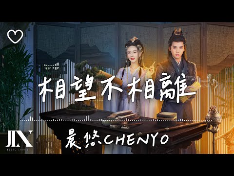 晨悠CHENYO l 相望不相離 影視劇《與君無別離》片尾曲【高音質 動態歌詞 Lyrics】