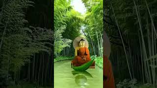 Ye na dhammam/ buddha song #shortvideo #buddhawhatsappstatus #shakyamuni_buddha 🌺🙏🏻🙏🏻🙏🏻🌺