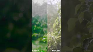 VN COLOUR GRADING TUTORIAL | #vntutorial #vnvideoeditor #colorgrading