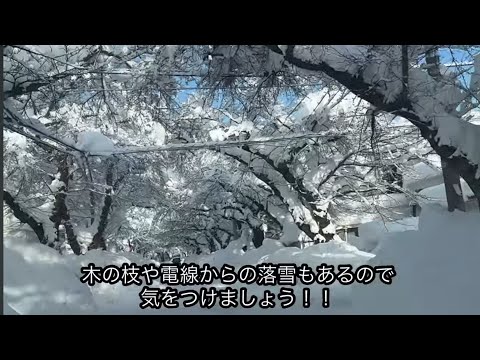 【まいったね】青森市民のみなさん、雪かきお疲れ様です。