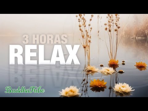 Tranquilidade Espiritual 🌟 Música para Cura dos Chakras | 3 Horas Vibrações Positivas