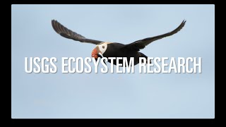 USGS Ecosystem Research