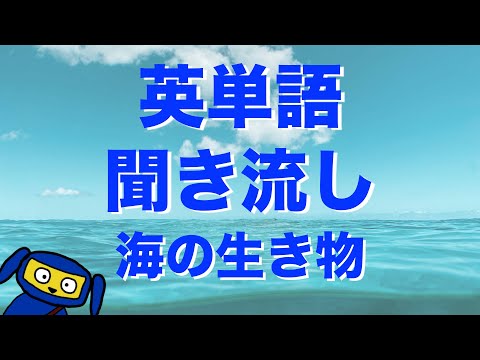 英単語　聞き流し　海の生き物・魚　英語　リスニング