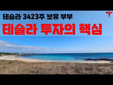 테슬라 투자의 핵심을 말씀 드립니다. 그리고 안타까운 사고로 유명을 달리하신 분들의 애도를 표합니다.