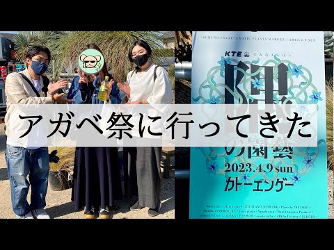 【アガベのイベント】隅の園藝に行ってきました【購入品紹介】