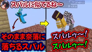 「スバルに似てる」と言われた瞬間奈落に落ちてくインコwww【ホロライブ切り抜き/猫又おかゆ/戌神ころね/大神ミオ/大空スバル】