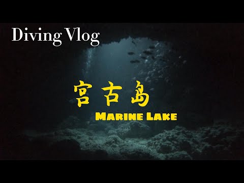 宮古島の秘密ダイビングスポット：マリンレイク(Marian Lake@Miyako Island, Okinawa)