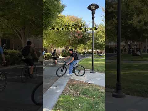 The natural sounds of UC Davis