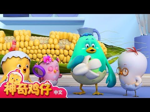 观察爆米花 + 更多 | 神奇鸡仔宝宝观察 | 神奇鸡仔启蒙游戏 | Como Kids TV