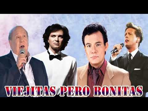 Exitos -Diego Verdaguer, Roberto Carlos, Camilo Sesto, Leo Dan, Julio Iglesias, Leonardo Favio Y mas