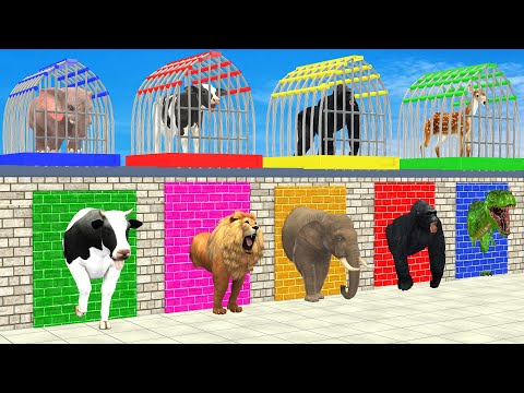 Elephant Cow Lion Tiger Gorilla 3d Animal Long Slide Game Funny 3d Paint Animals Cage Game