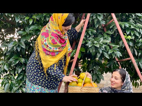 Unveiling Village Life | Village Girls Cook Polo Shooshtari with Chicken | Village lifestyle