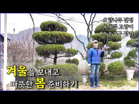 봄맞이, 겨울 보내기 / 향나무 전정, 농기구 정리, 예쁜 고양이 / countryside, wild cat, springtime, juniper