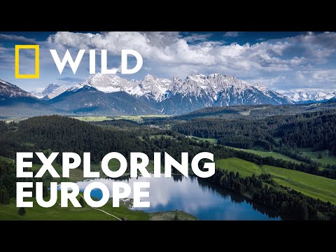 Exploring The Wildlife of Europe | Incredible Europe | National Geographic WILD UK