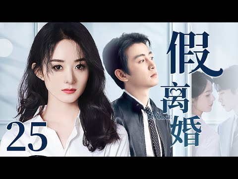 【2025最新电视剧】假离婚 25｜赵丽颖亲眼目睹丈夫陈晓出轨事实 一招假离婚离间二人感情 不仅让小三归还了所有夫妻共同财产 还让渣男净身出户！