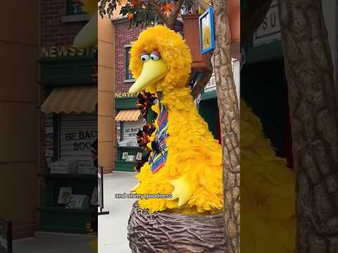 Sesame Place during Halloween Season #sesameplace #familyfriendly  #sesamestreet #bigbird