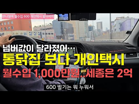 개인택시 창업 반나절에 월 수입 600만원, 넘버값 세종은 2억..47년생 멋있는 남편에 멋있는 할아버지 DRIVER