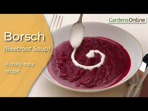 Borscht - Beetroot Soup Recipe