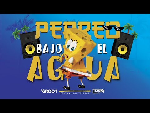 Mix Perreo Bajo el Agua (Agua, Pa' Romperla, Reggaetonera, Raka Taka, Más) DJ GROOT & DJ DANNY