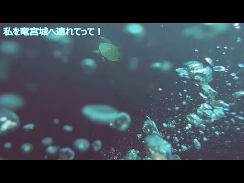 【癒しの世界】乙姫様の贈り物