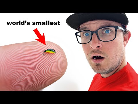 I Fished With The World's Smallest Lure