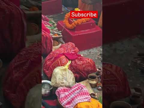 Morning Aragya!! Chhath puja shorts!! Reels!! छठ पर्व!! Mahaparv!! YouTube shorts!! Chhath status